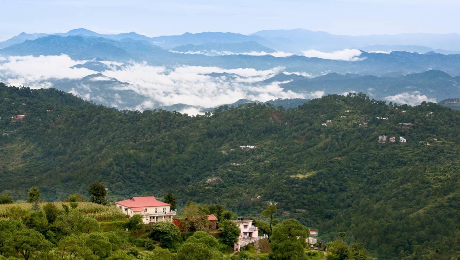 kasauli 2