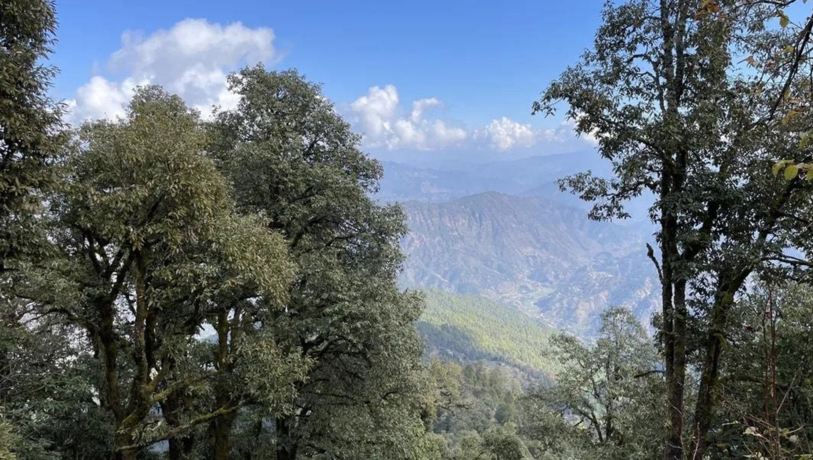 binsar 2