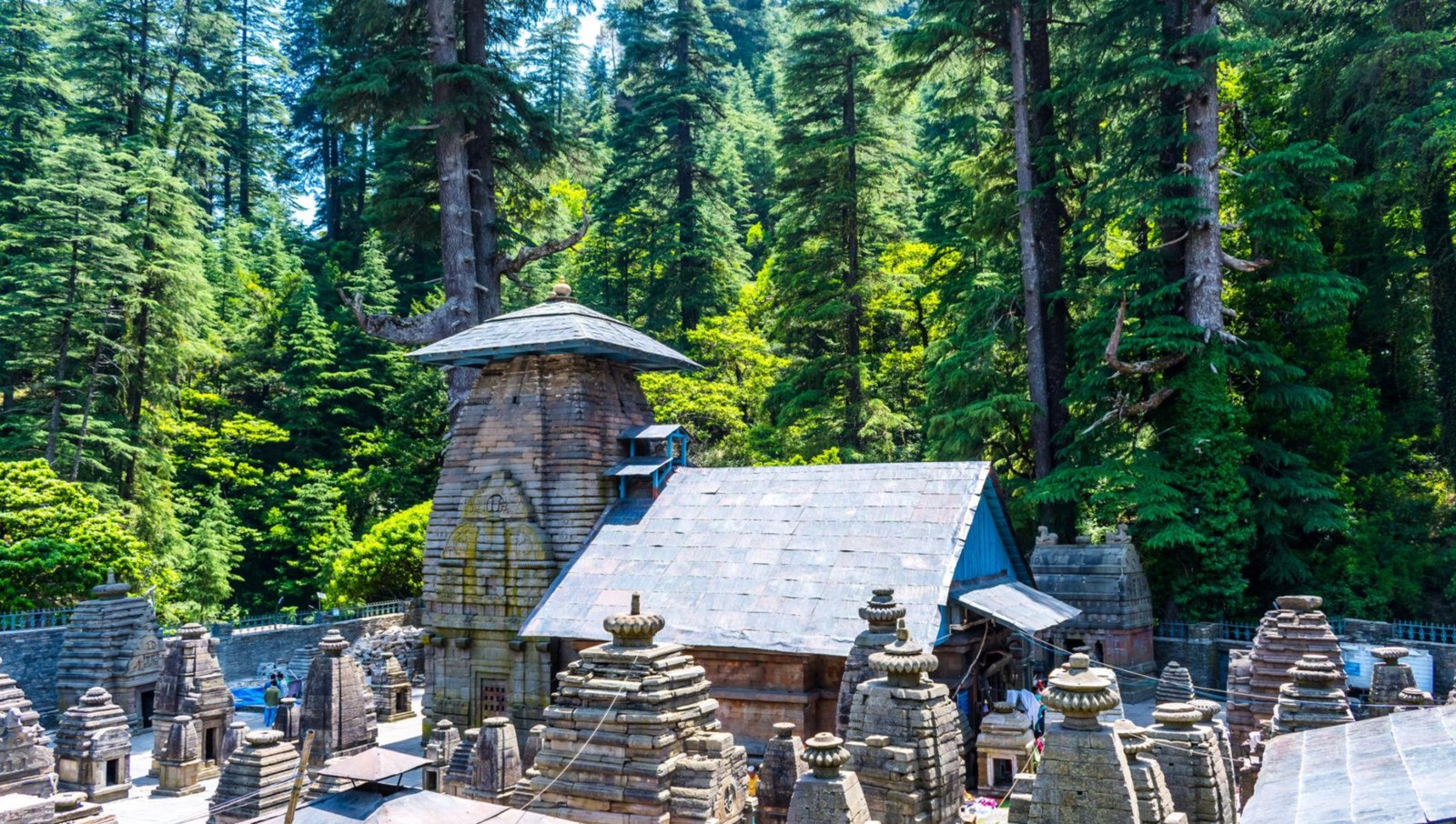 binsar 4