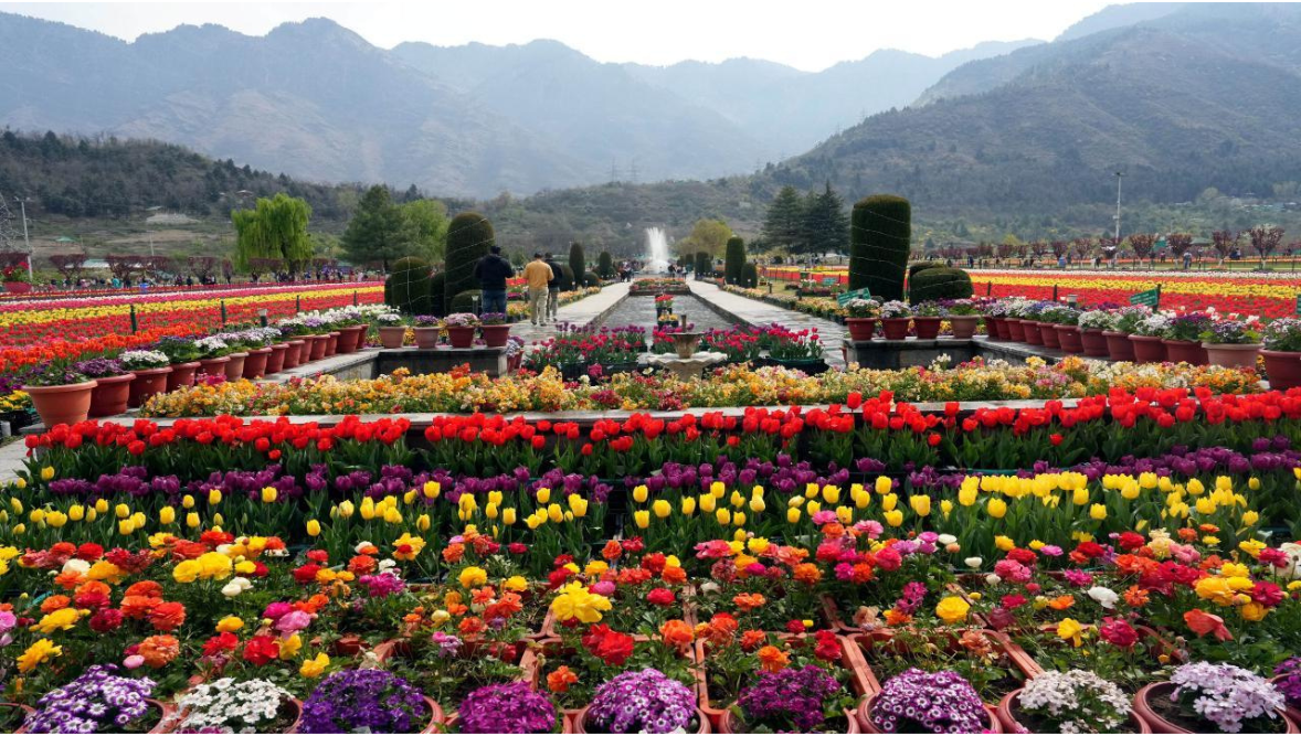 kashmir 4