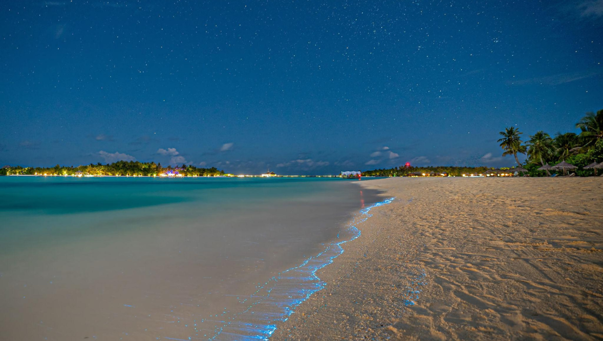 maldives 2