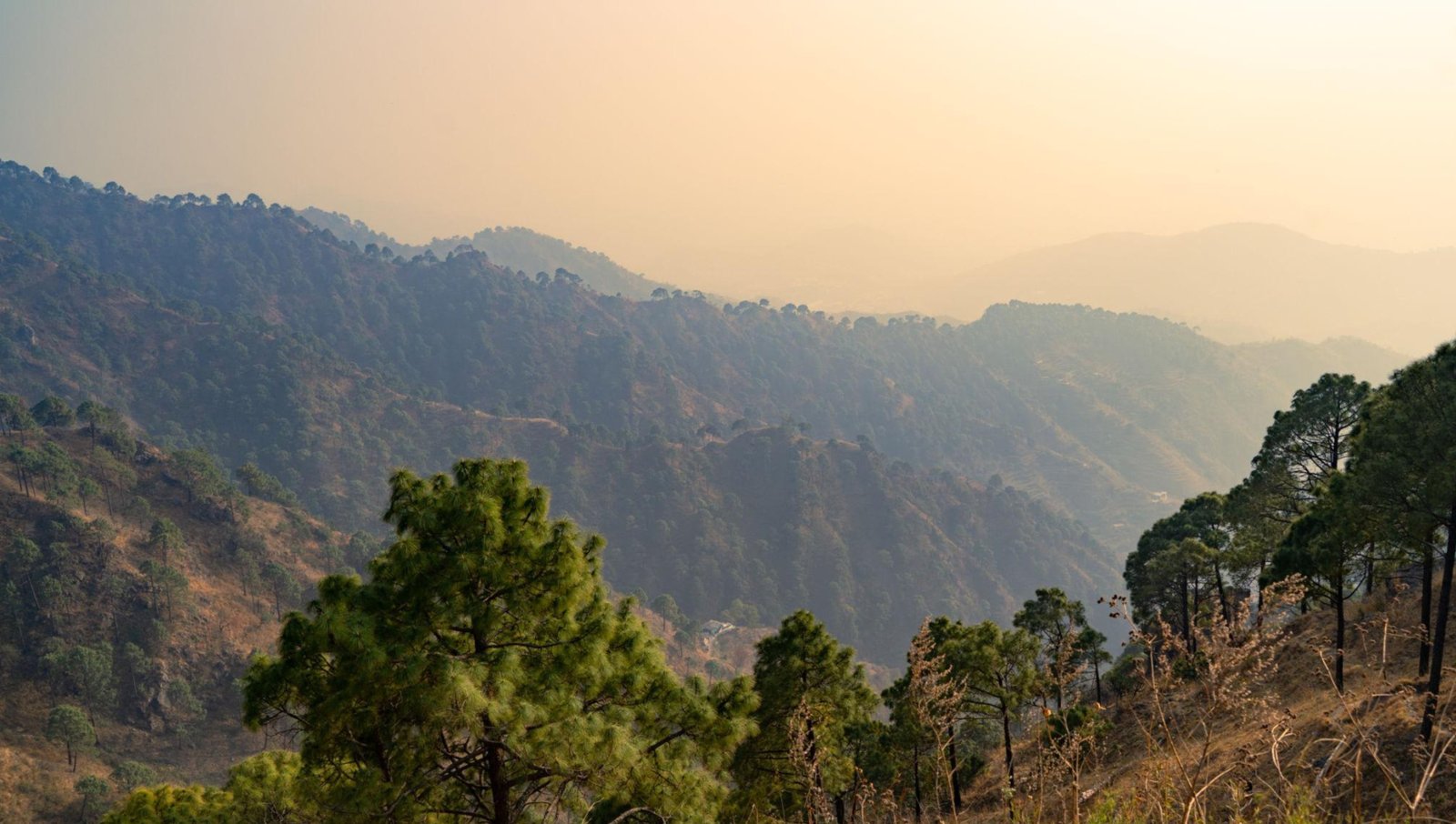 kasauli 1