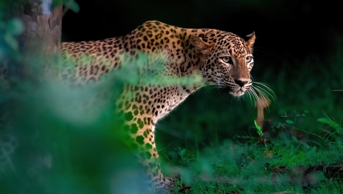 sri-lanka