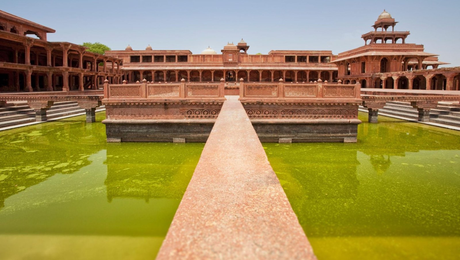 agra 4